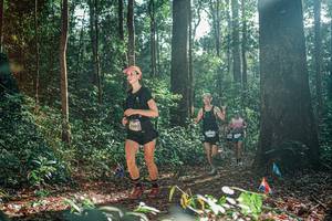 BIB: 
                            <button type="button" onclick="openModal(26074034)" class="btn btn-primary btn-sm float-right btn-popup" data-toggle="modal" data-target=".modal-high-quality">
                        <i class="fas fa-shopping-cart"></i> Add to Cart
                    </button>
                                            <button type="button" onclick="isThisMe(26074034, true)" class="btn btn-success btn-sm float-right btn-popup btn-isme hidden" data-toggle="tooltip" data-placement="bottom" title="นี่คือรูปของคุณใช่ไหม คลิกที่นี่เพื่อเอาเข้าอัลบั้ม">
                        <i class="fas fa-plus"></i> Add to album
                    </button>
                    <button type="button" onclick="isThisMe(26074034, false)" class="btn btn-warning btn-sm float-right btn-popup btn-isnotme hidden">
                        <i class="fas fa-ban"></i> Remove from album
                    </button>